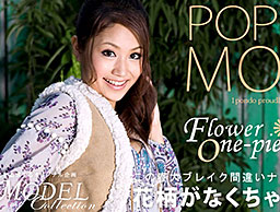 Model Collection select...58 ポップ