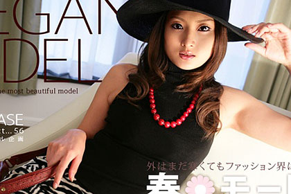 Model Collection select...56 エレガンス